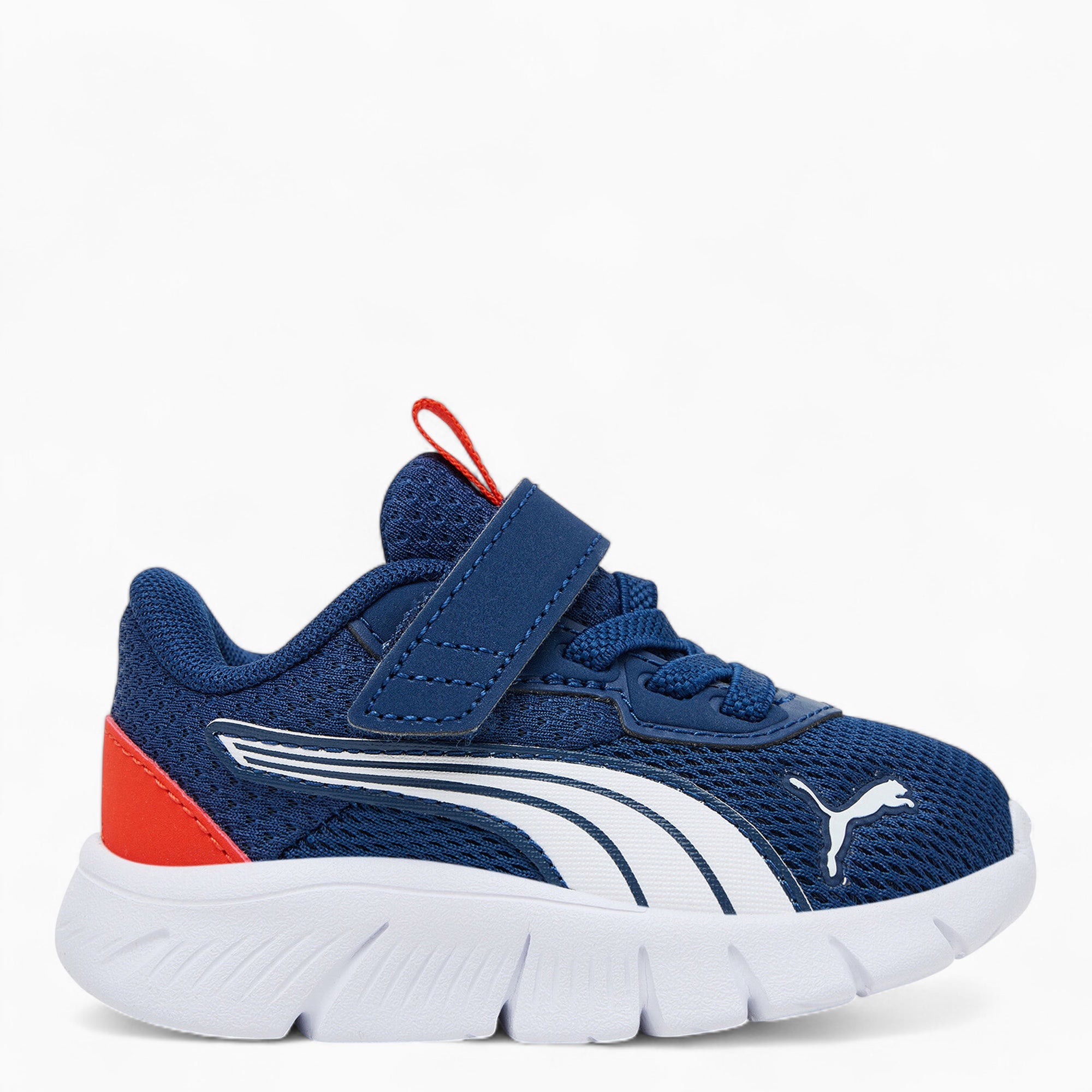 Sneakers Inf Flexfocus Modern