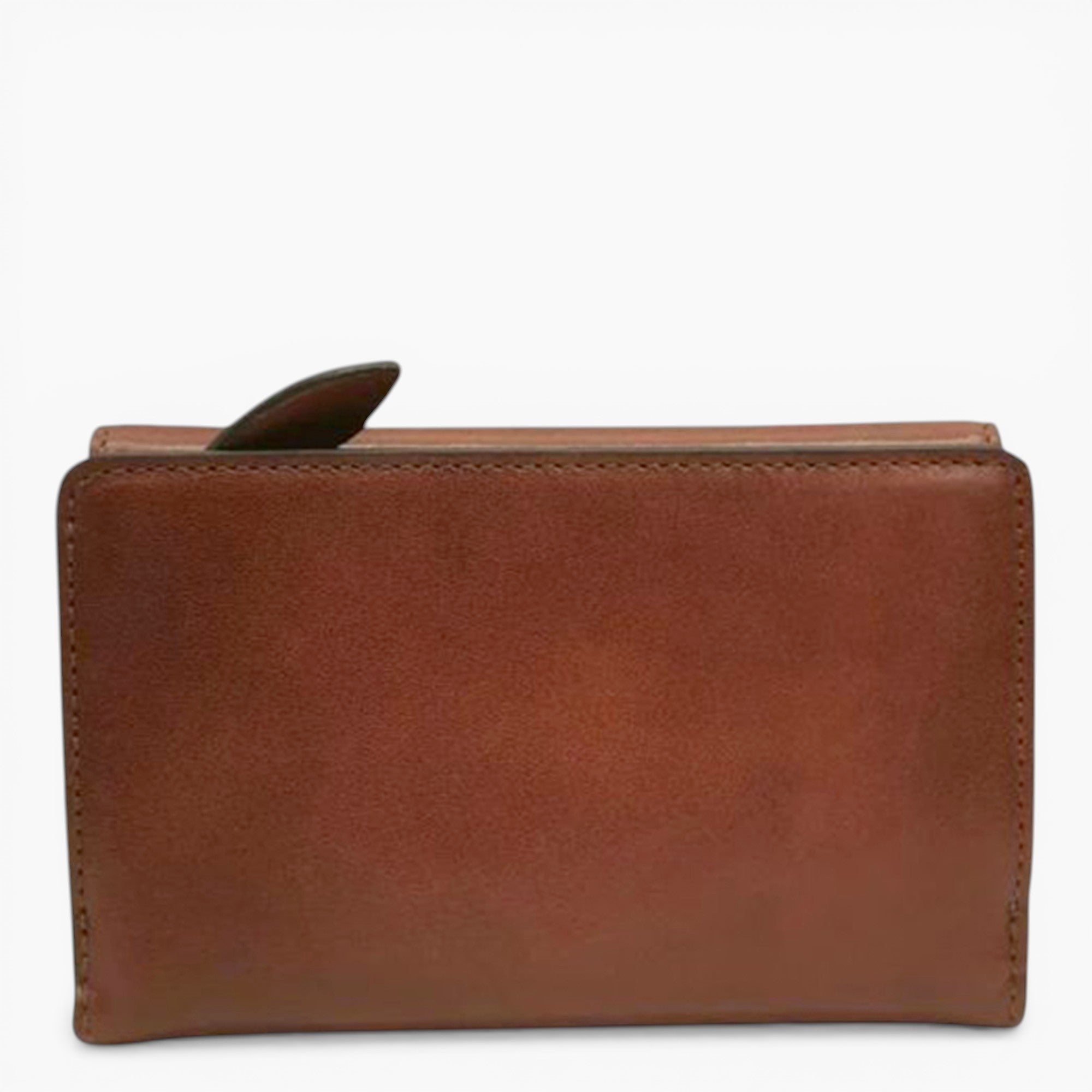 Card Case Frida