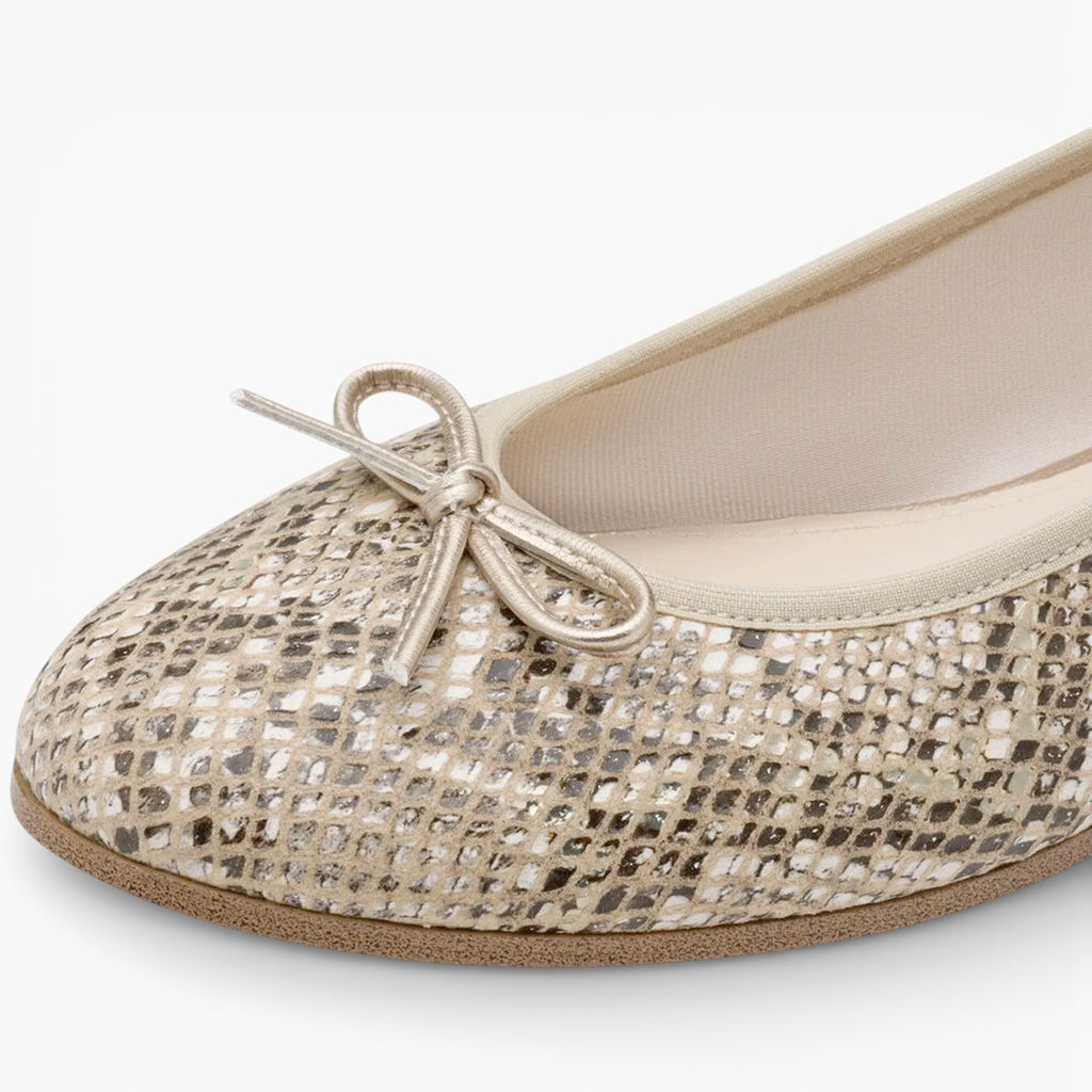 Ballerines Femme