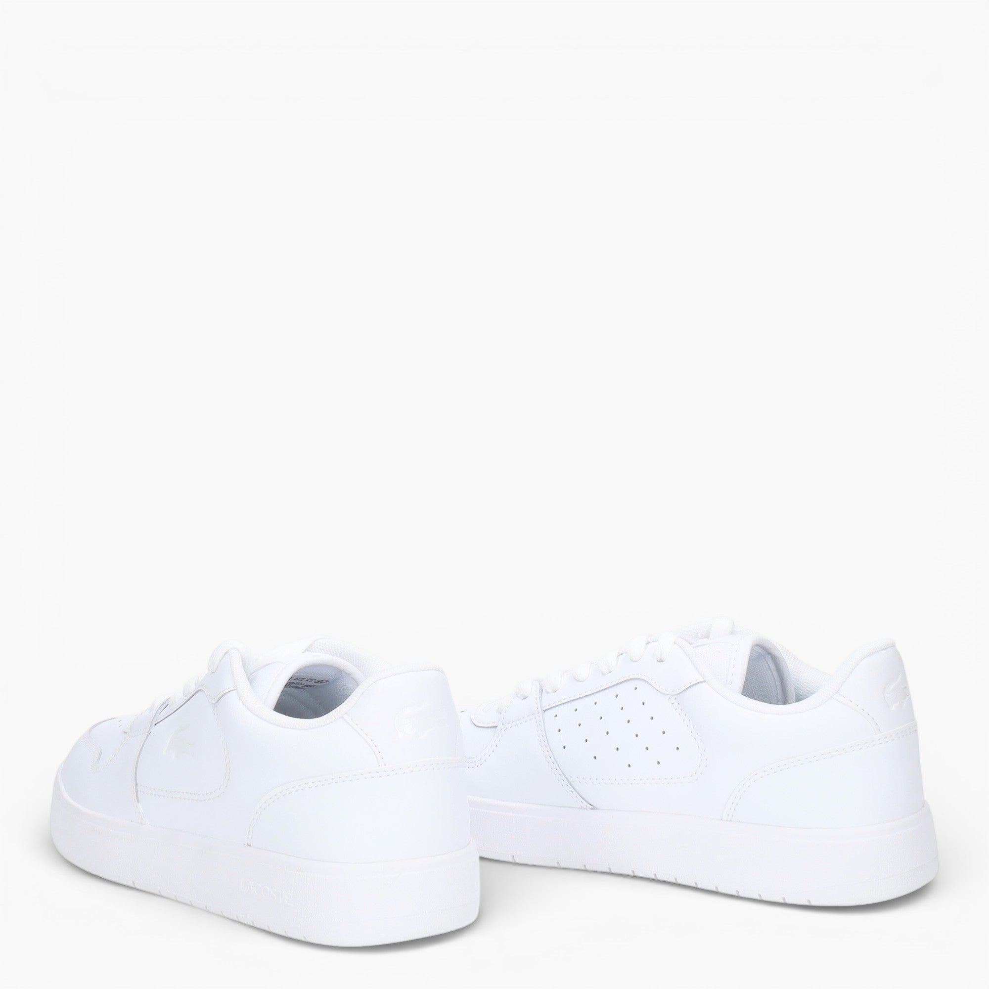 Sneakers Donna Courtace
