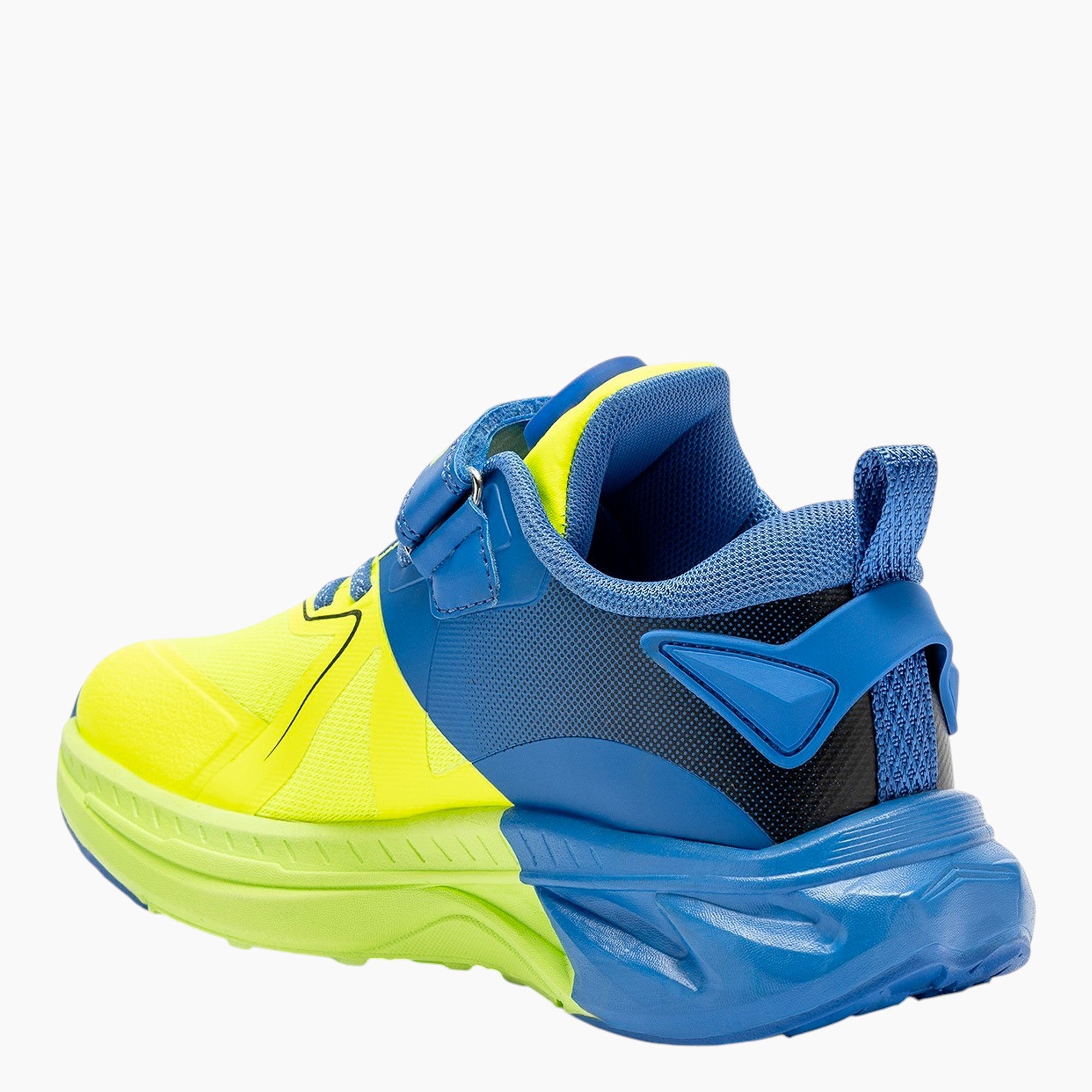 Sneakers Tornado Rex