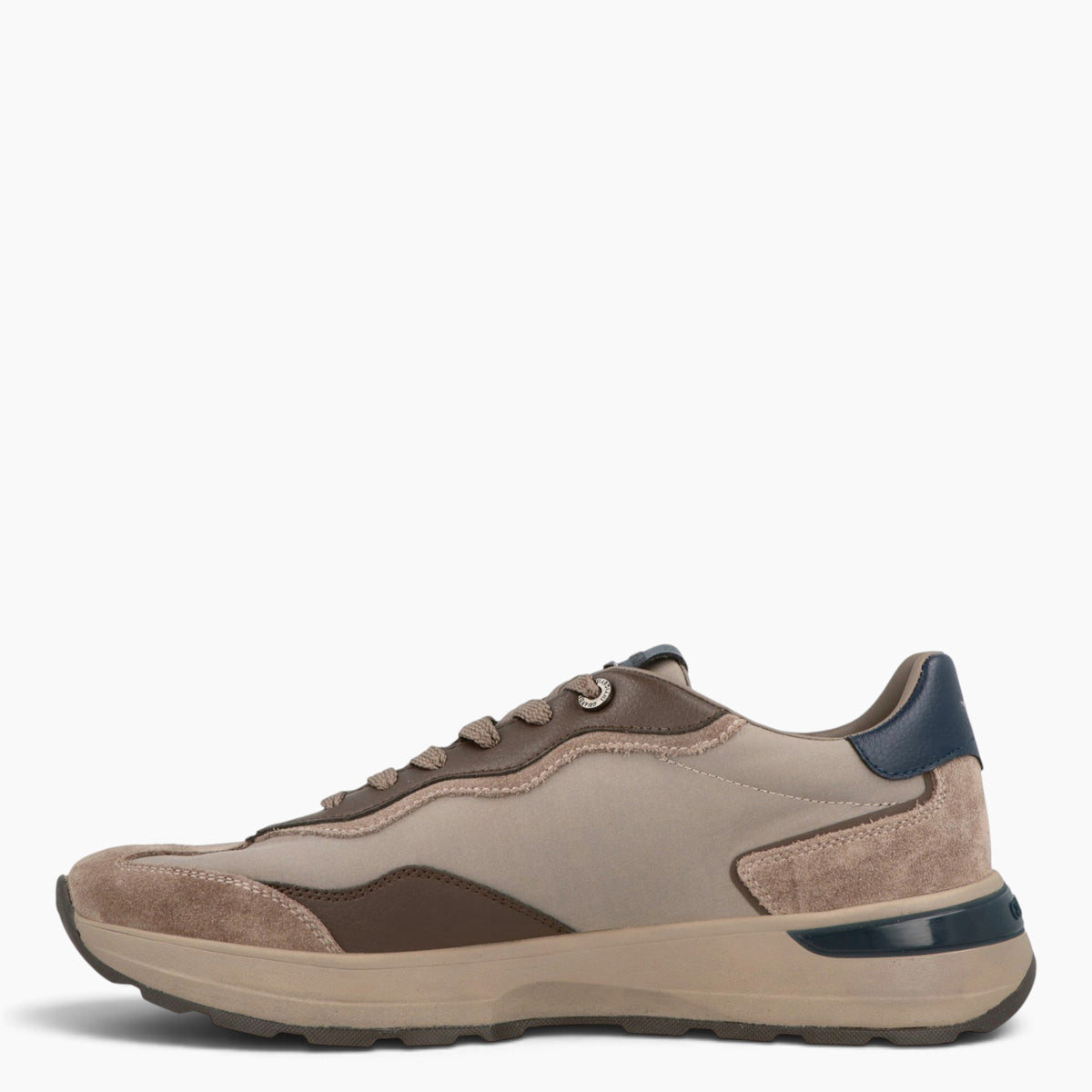 Sneakers Levante Swallow
