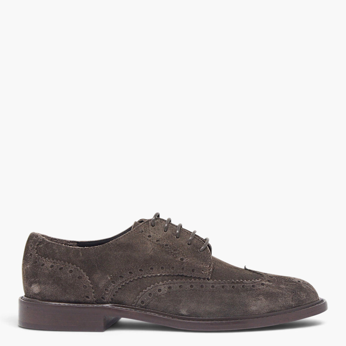 Derby Uomo Hash