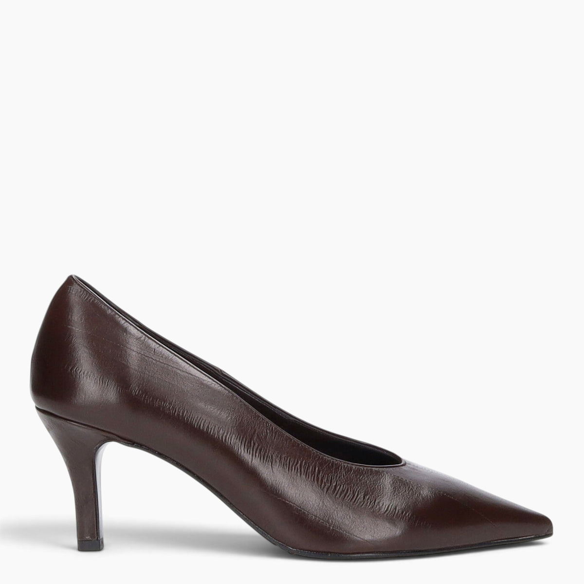Decollete Donna Anguilla T65