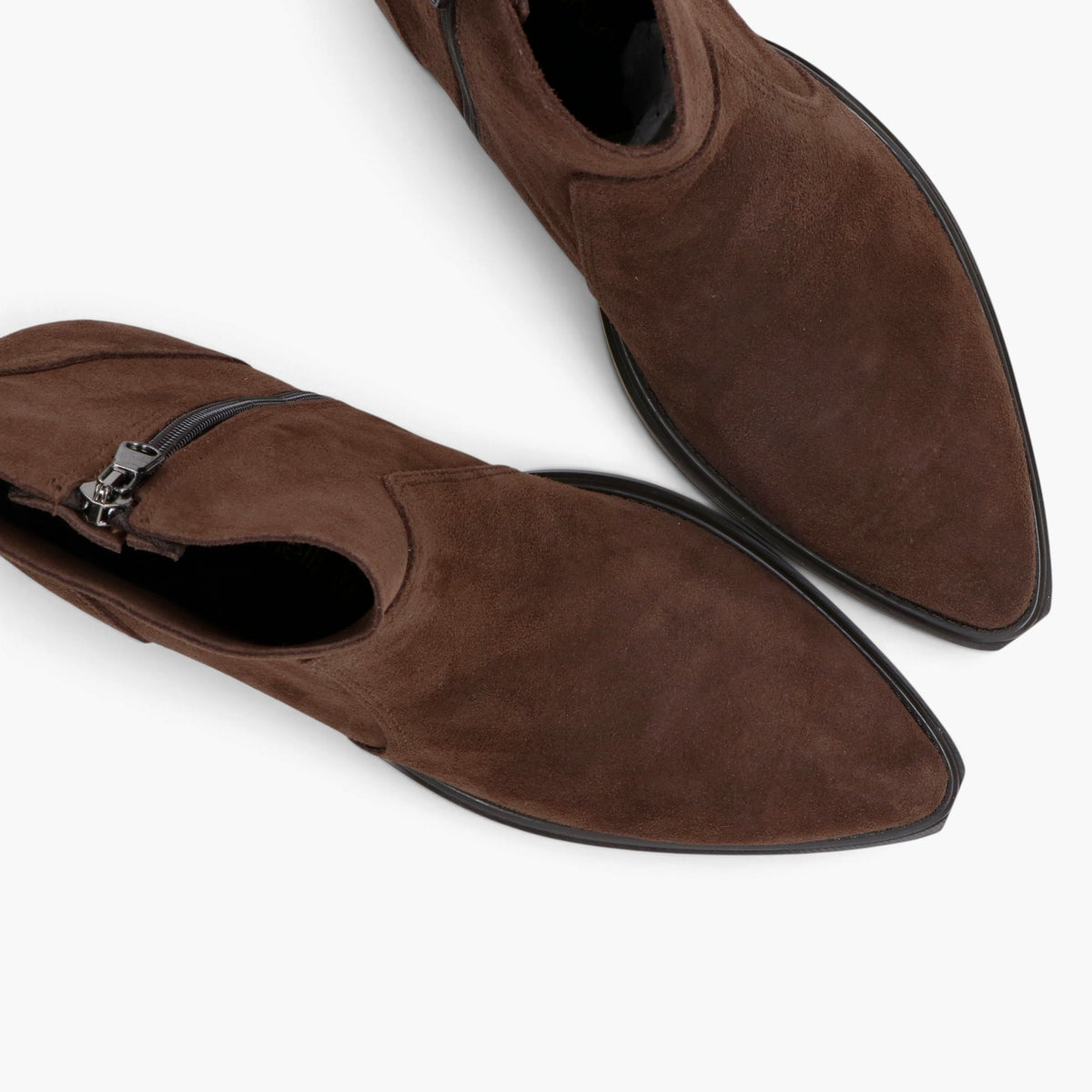Texani  Donna
