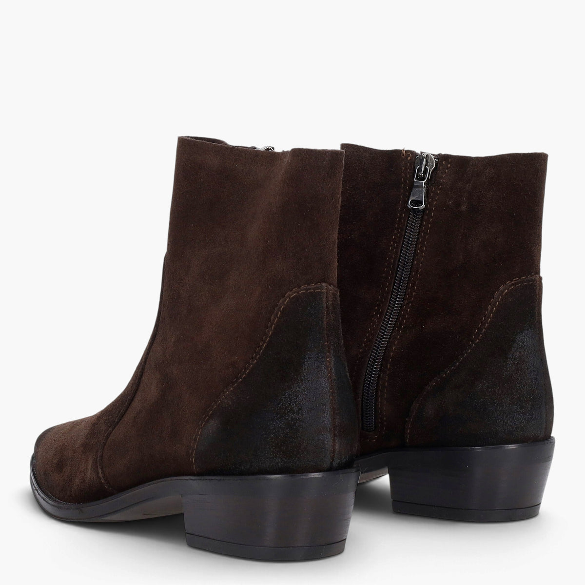 Texani  Donna