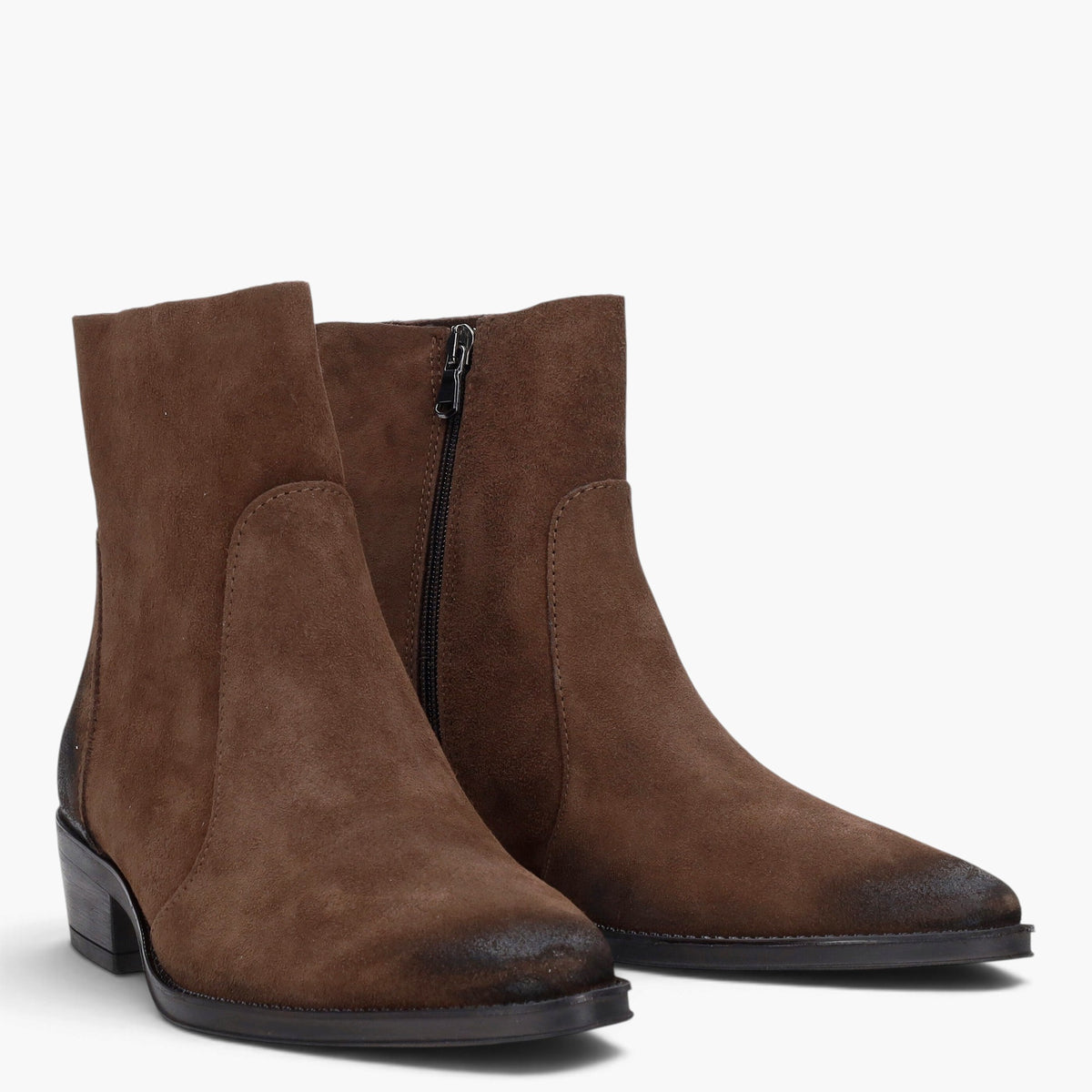 Texani  Donna